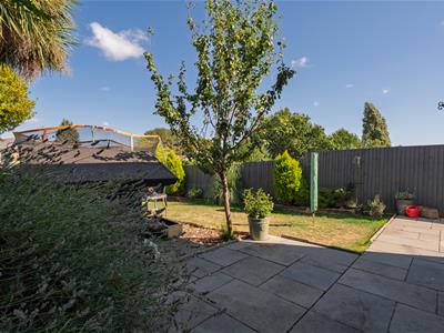 Picture 32